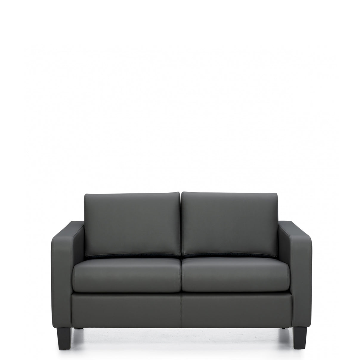 Two Seat Sofa | OTG13052