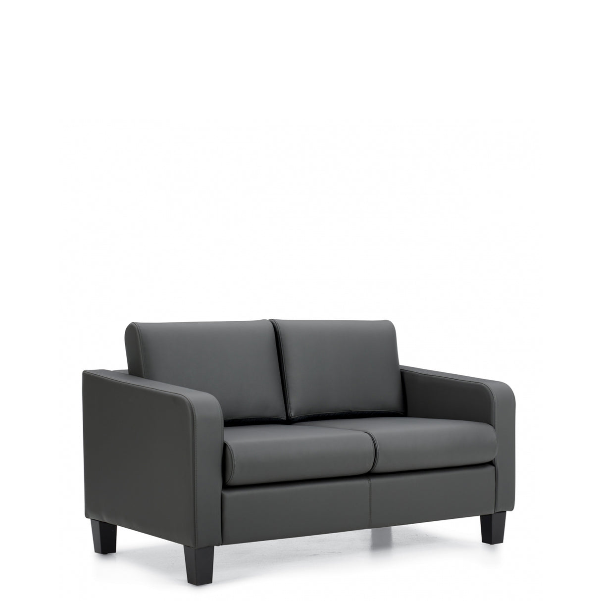 Two Seat Sofa | OTG13052