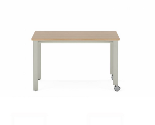Collaborative Spaces™ 29"H Workshop Table with Casters & Levelers - 48"W x 42"D | SCTSWSX4248