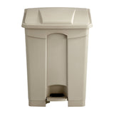 Plastic Step-On - 17 Gallon | 9922
