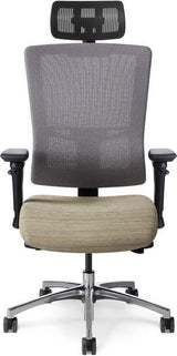 Office Master Affirm Executive High Back Ergonomic Chair with Headrest | AF529