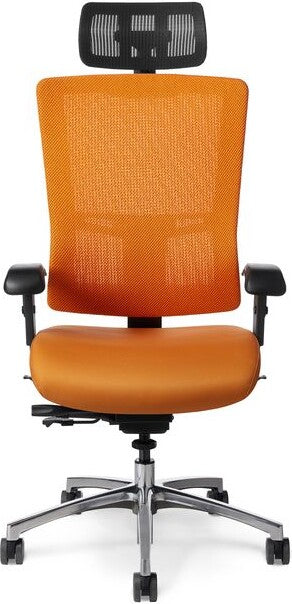 Office Master Affirm Multi Function High Back Ergonomic Chair with Headrest | AF589
