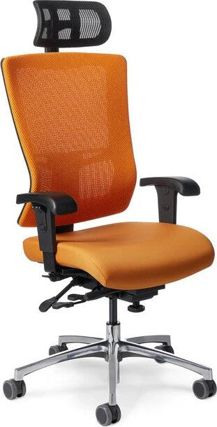 Office Master Affirm Multi Function High Back Ergonomic Chair with Headrest | AF589