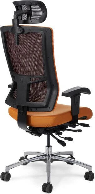 Office Master Affirm Multi Function High Back Ergonomic Chair with Headrest | AF589
