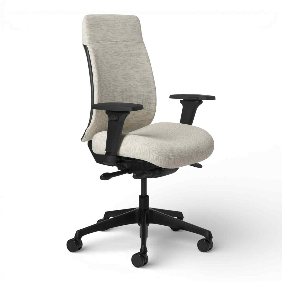Office Master Truly Executive Synchro Ergonomic Chair | TY628