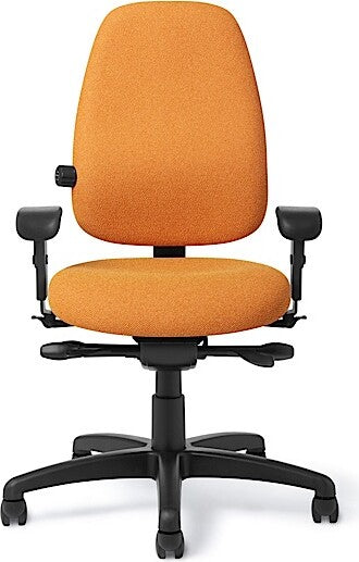 Office Master Paramount Value Ergonomic Office Chair | PT69-2 (PT69-RV)