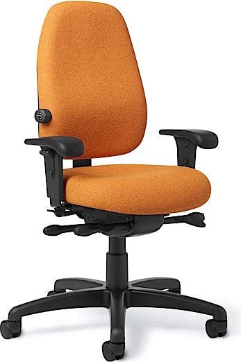 Office Master Paramount Value Ergonomic Office Chair | PT69-2 (PT69-RV)