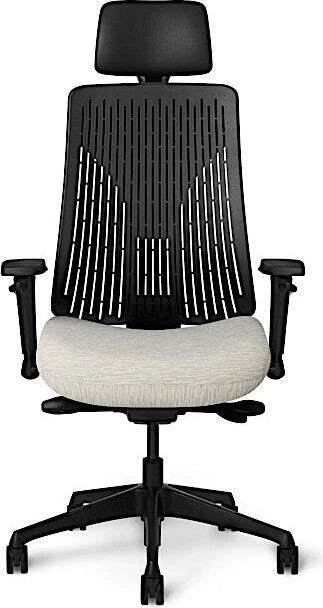 Office Master Truly Executive Synchro Ergonomic Chair | TY628