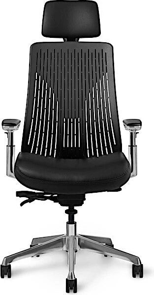 Office Master Truly Full Multi-Function Ergonomic Chair | TY68b8